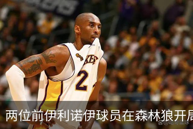两位前伊利诺伊球员在森林狼开局抢眼,多苏穆场均12分香农13分