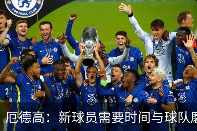 厄德高:新球员需要时间与球队磨合,我们每周都在变得更好