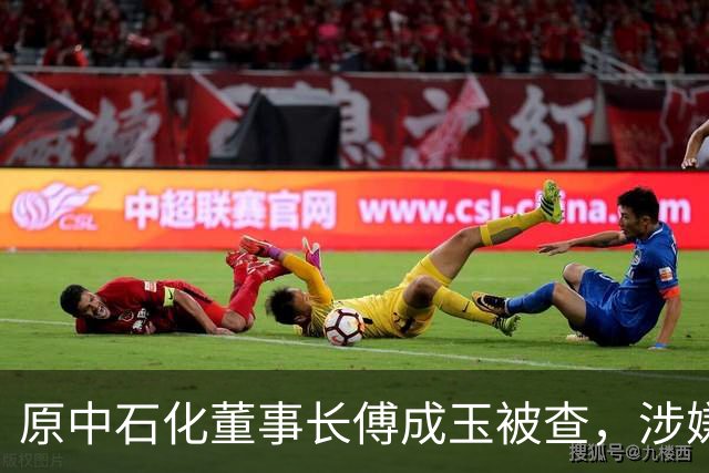 原中石化董事长傅成玉被查，涉嫌严重违纪违法