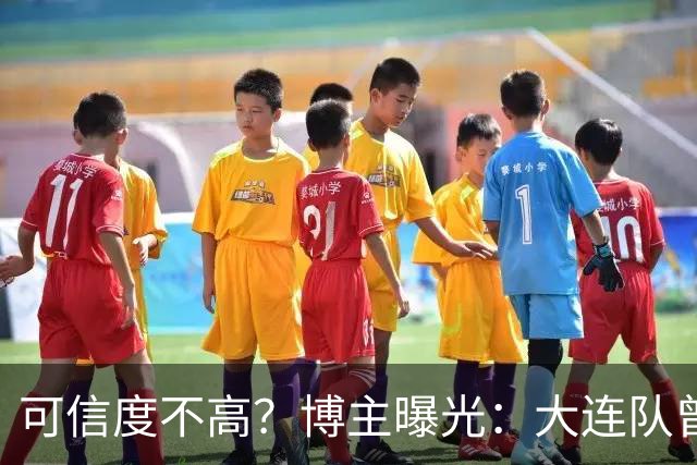 可信度不高？博主曝光：大连队曾遭武汉三镇“挖角”，但没挖动