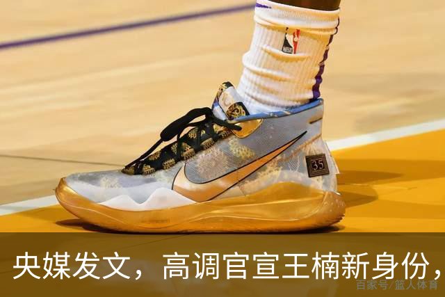 央媒发文，高调官宣王楠新身份，资产查封被带走调查传闻早有真相