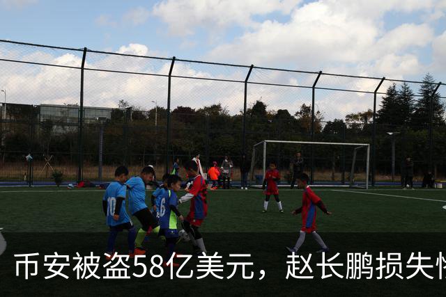 币安被盗58亿美元，赵长鹏损失惨重