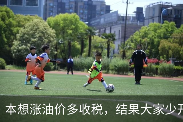 本想涨油价多收税,结果大家少开车,反而收得更少