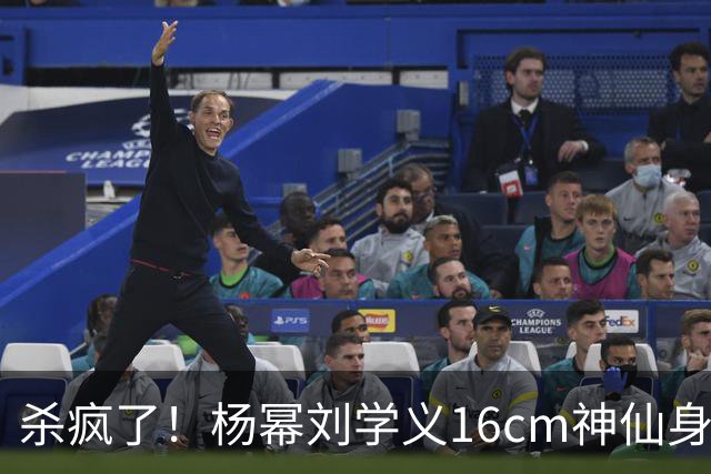 杀疯了！杨幂刘学义16cm神仙身高差火出圈，新剧同框氛围直接封神