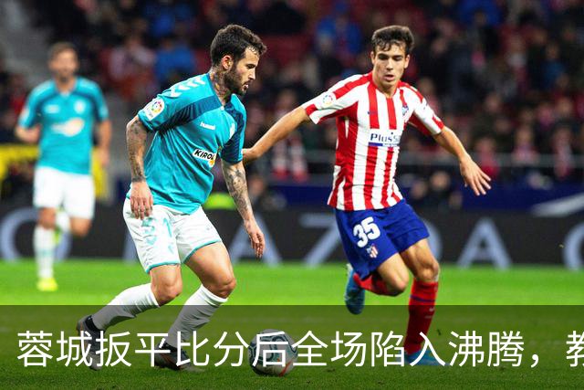蓉城扳平比分后全场陷入沸腾,教练组冲入场内庆祝