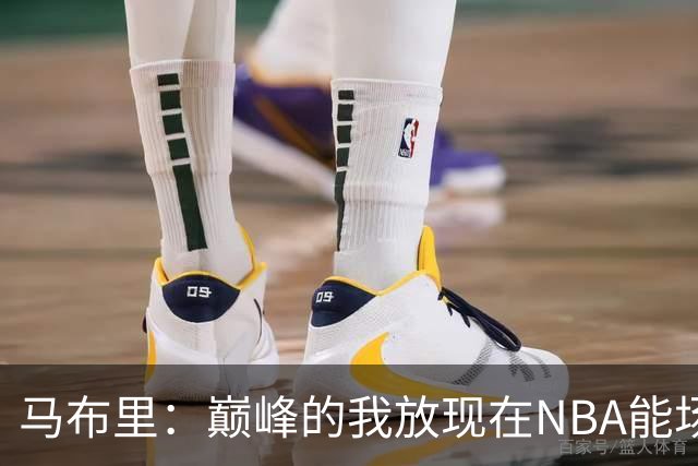 马布里:巅峰的我放现在NBA能场均27到30分
