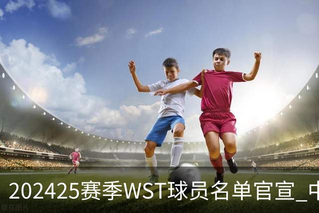 2024/25赛季WST球员名单官宣 中国军团共26人出战